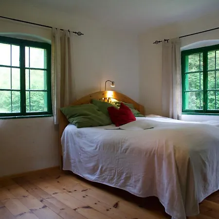 Steyr River 別荘 ヒンターシュトダー