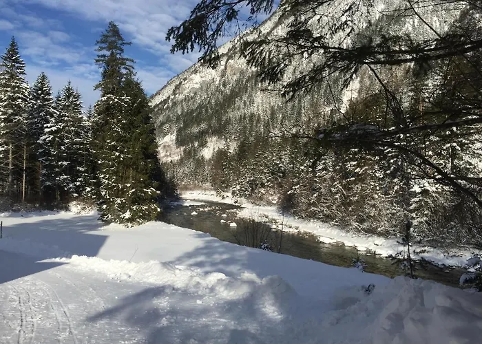 Σπίτι διακοπών Steyr River