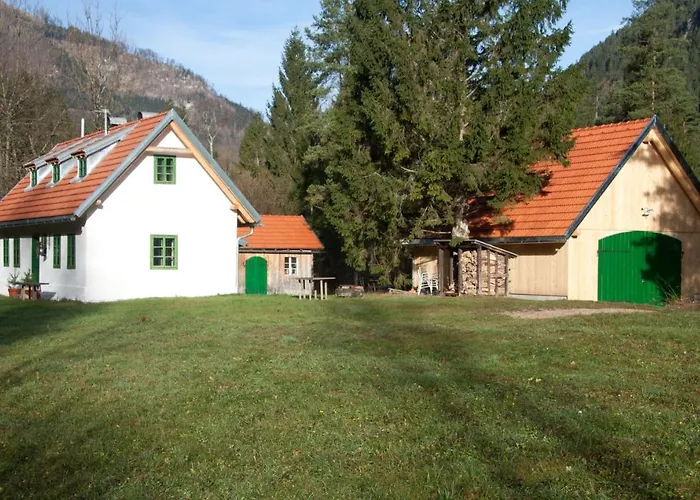 Σπίτι διακοπών Steyr River *