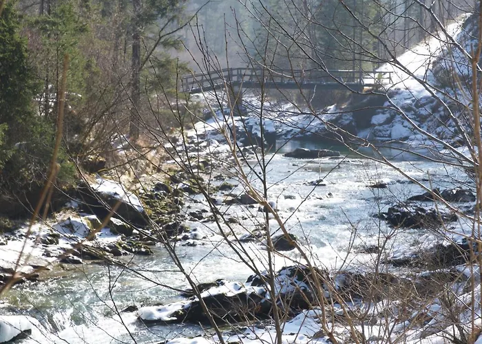 Σπίτι διακοπών Steyr River