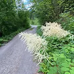 Steyr River 度假居 茵特斯托德