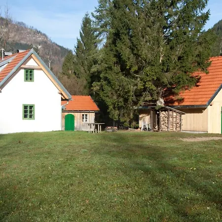 Feriehus Steyr River *