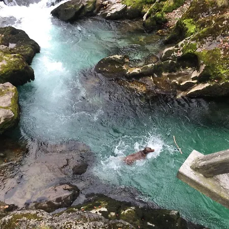 Steyr River Feriehus