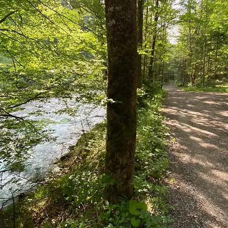 Feriehus Steyr River Hinterstoder