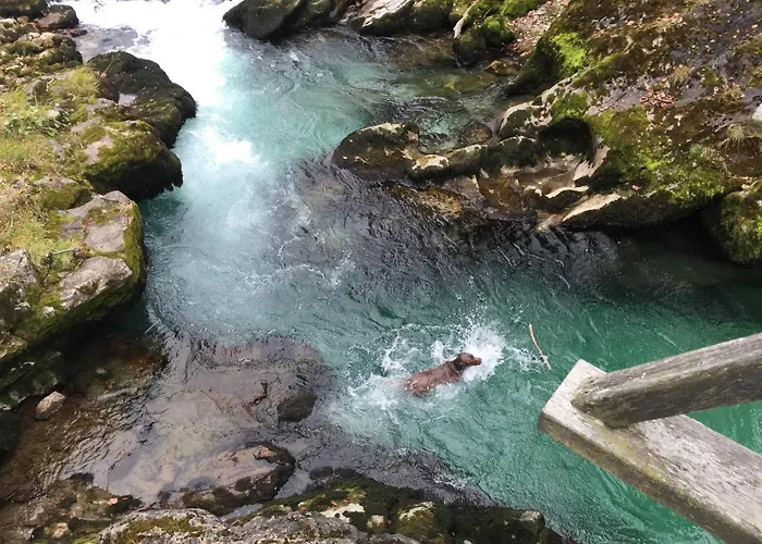 Steyr River Nyaraló