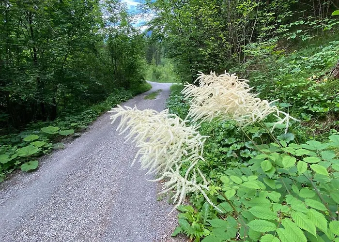 Steyr River Nyaraló Hinterstoder